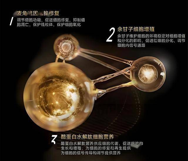 xm外汇官网的真实内幕，想知道的点进来看看！